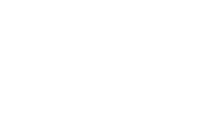 Wordmark RGB белый